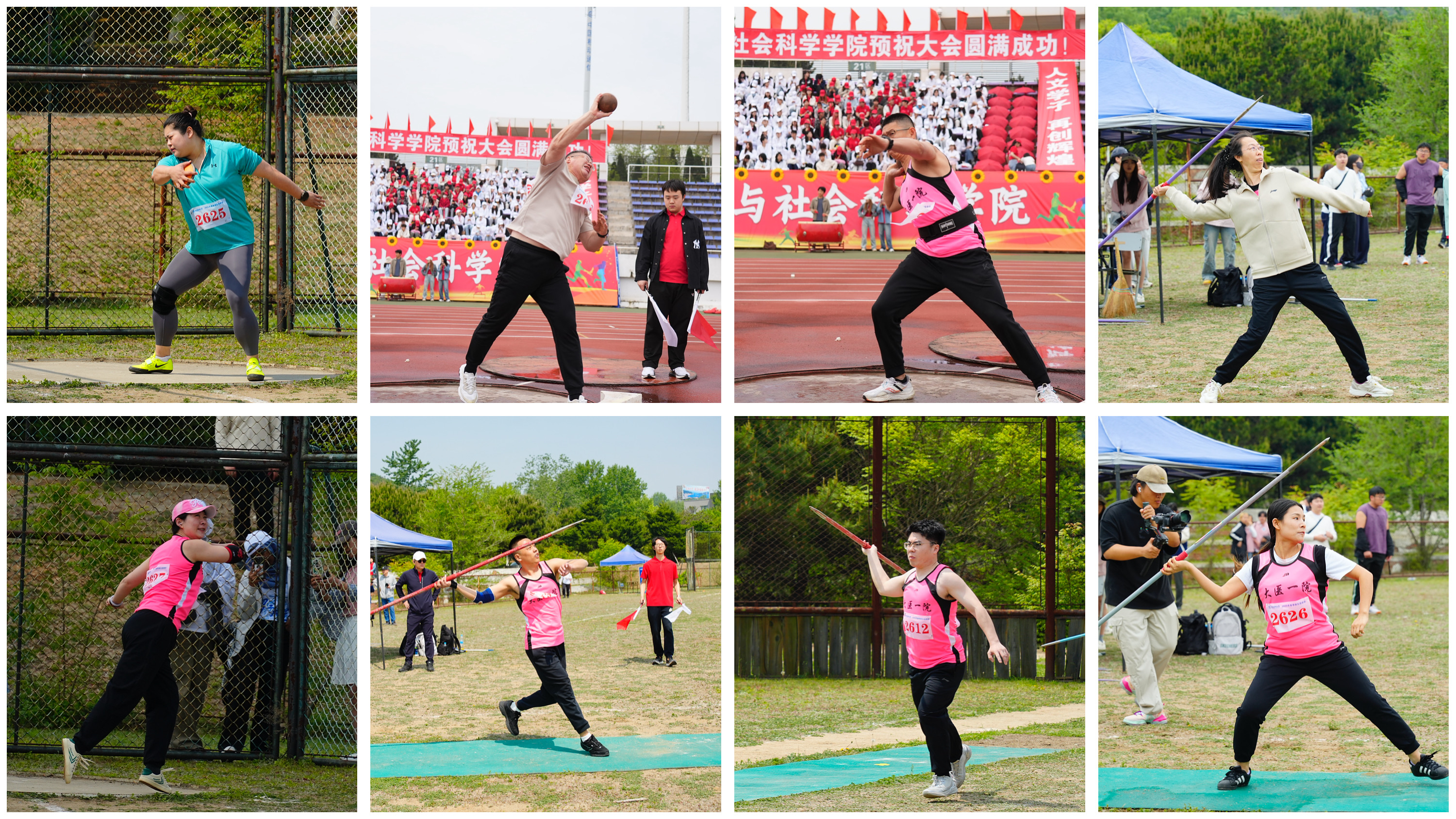 精彩绝伦，运动员们在赛场上交相辉映