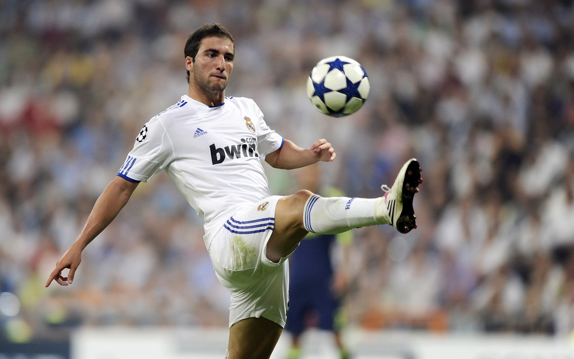 世界排名争夺战白热化，公牛终结鹈鹕，焦点战改写格局