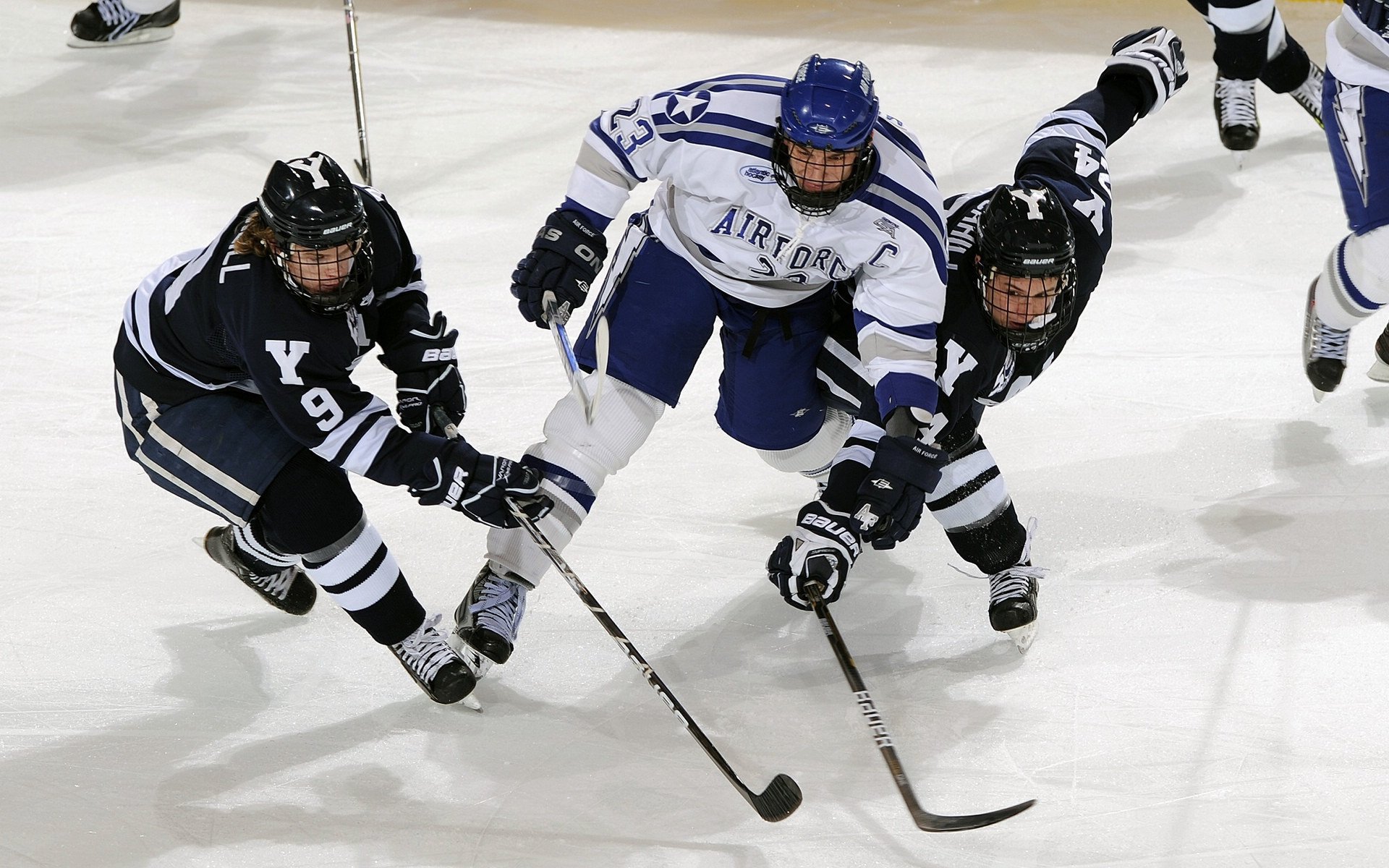 冰与火的对决，辛杜樱花般的高光照亮团队鏖战之夜